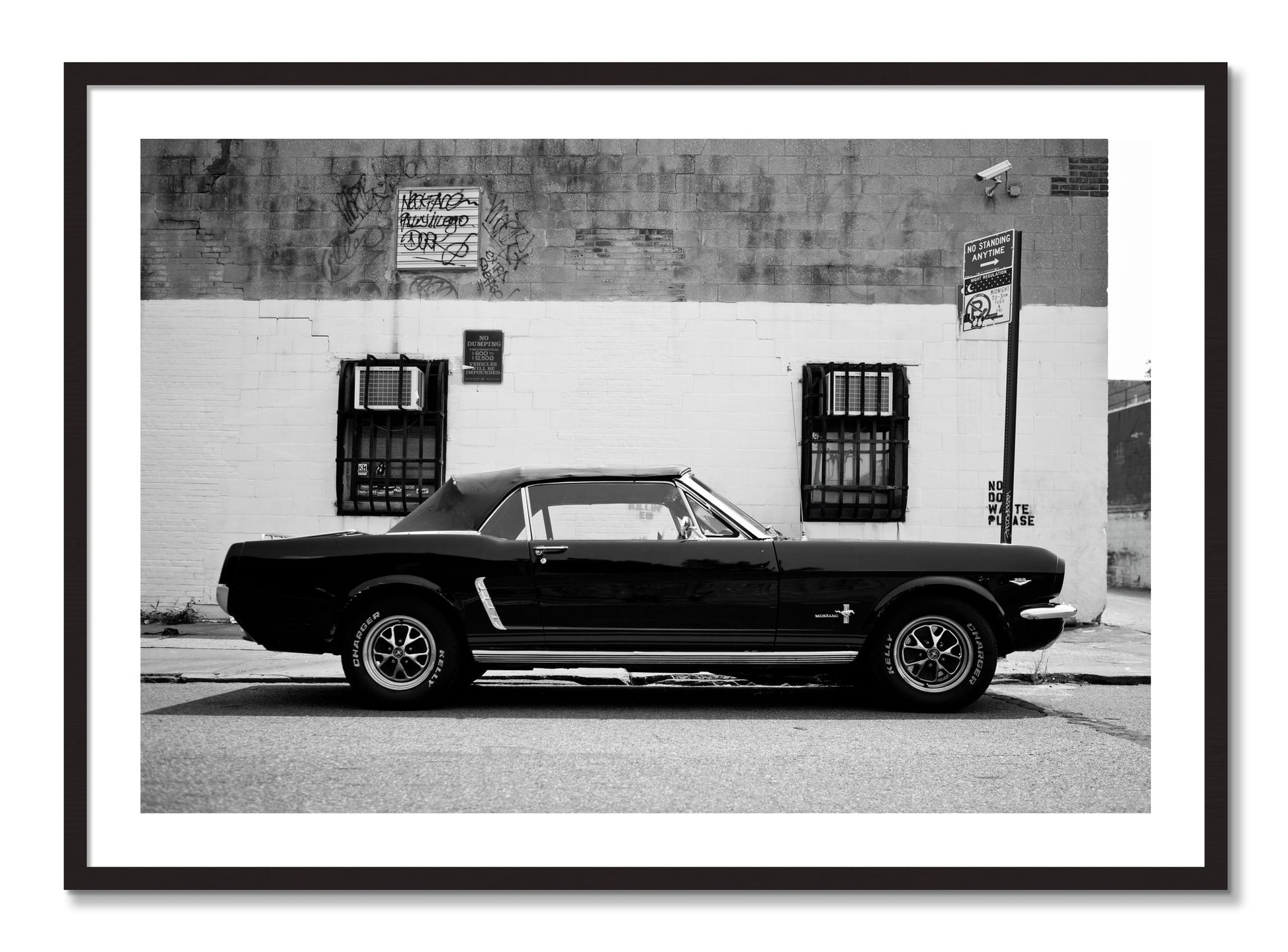 Framed photograph of Mustang by Dylan Ozanich, Black Walnut frame, Borders