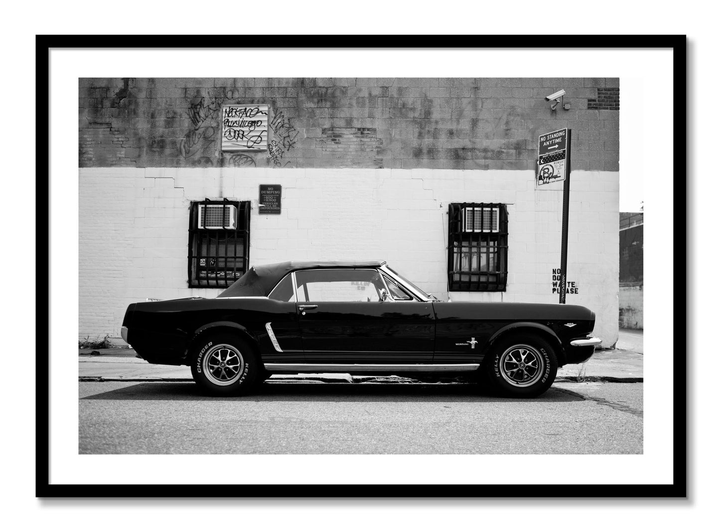 Framed photograph of Mustang by Dylan Ozanich, Black frame, Borders