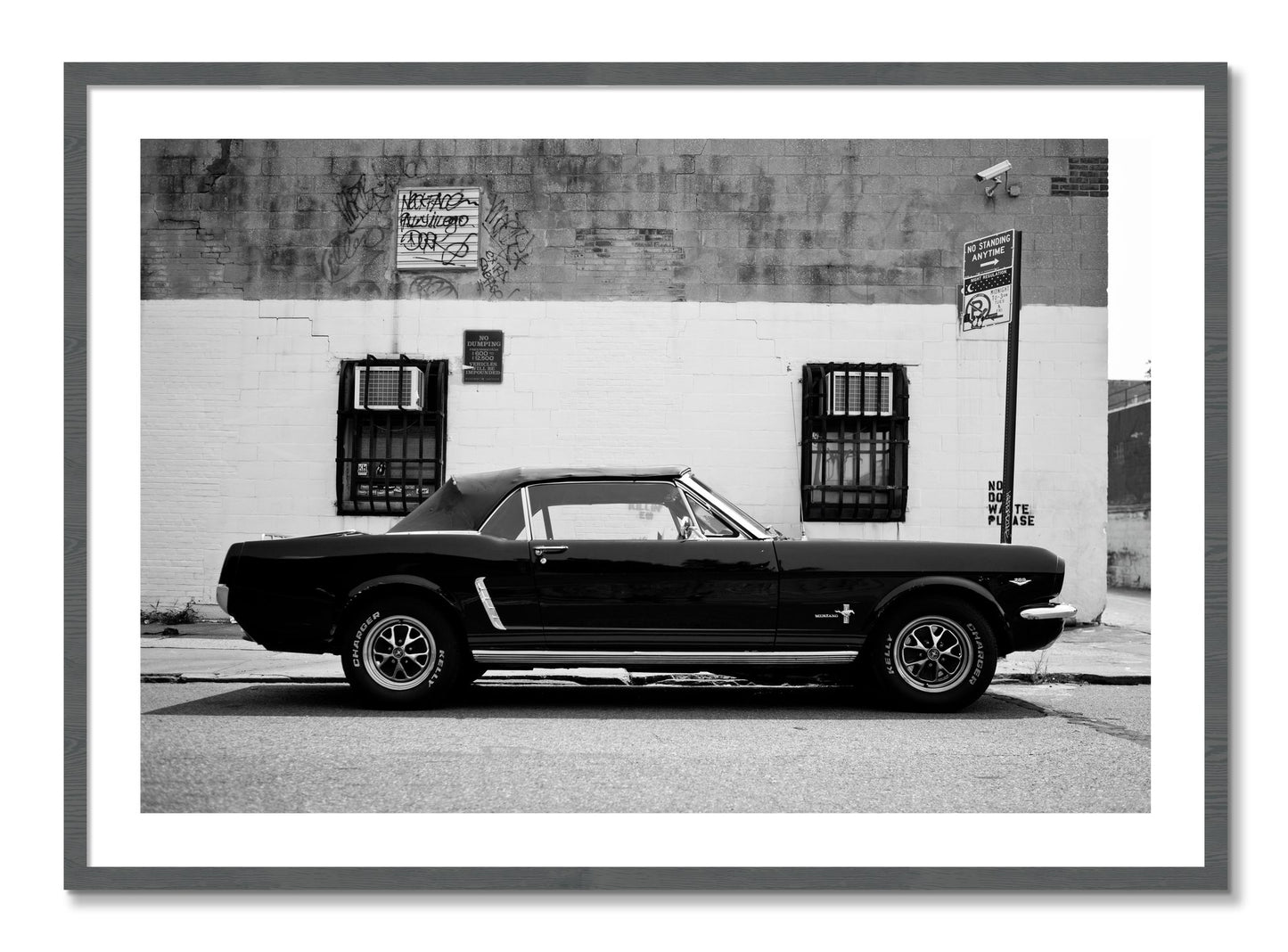 Framed photograph of Mustang by Dylan Ozanich, Grey frame, Borders
