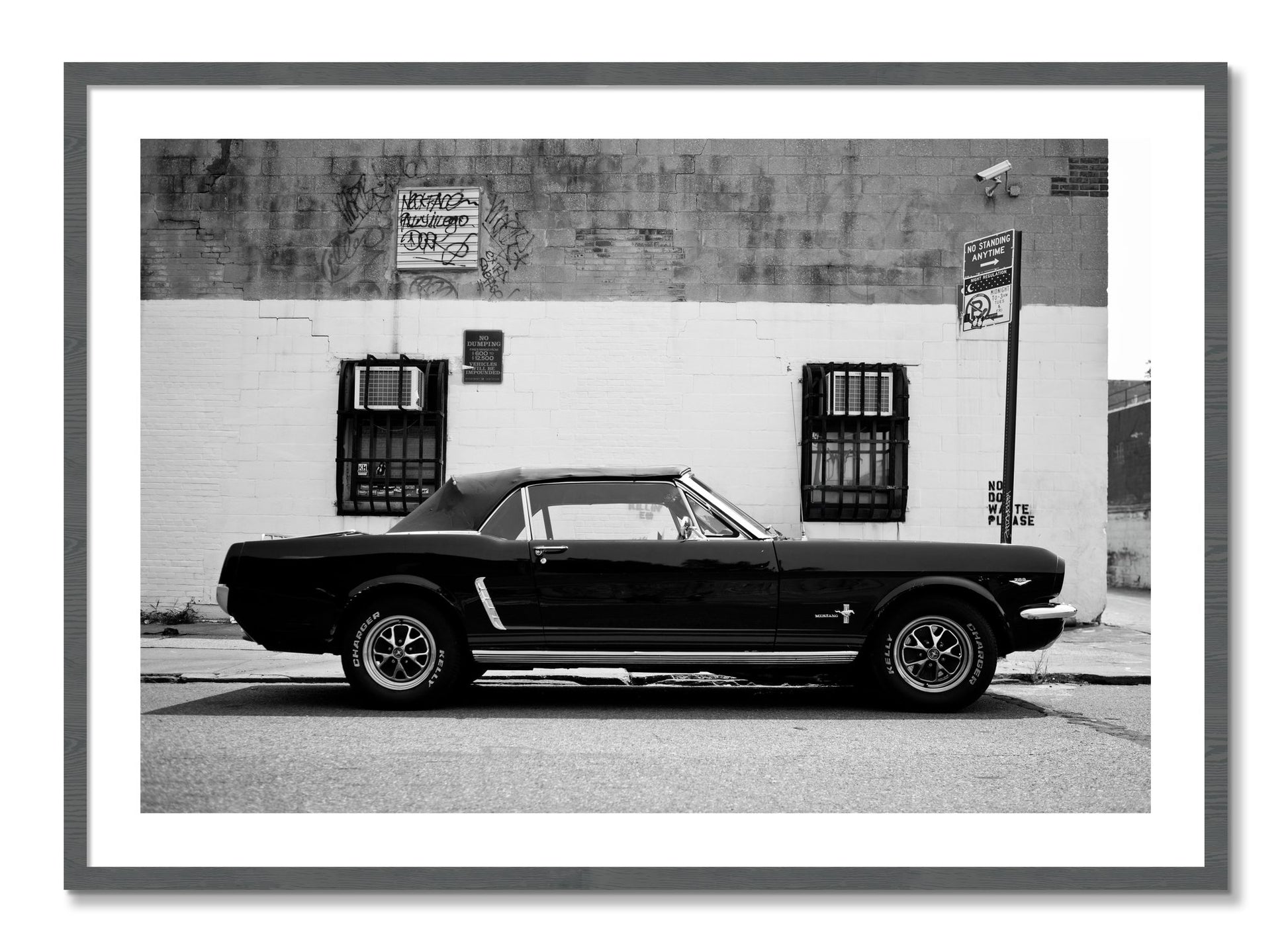 Framed photograph of Mustang by Dylan Ozanich, Grey frame, Borders