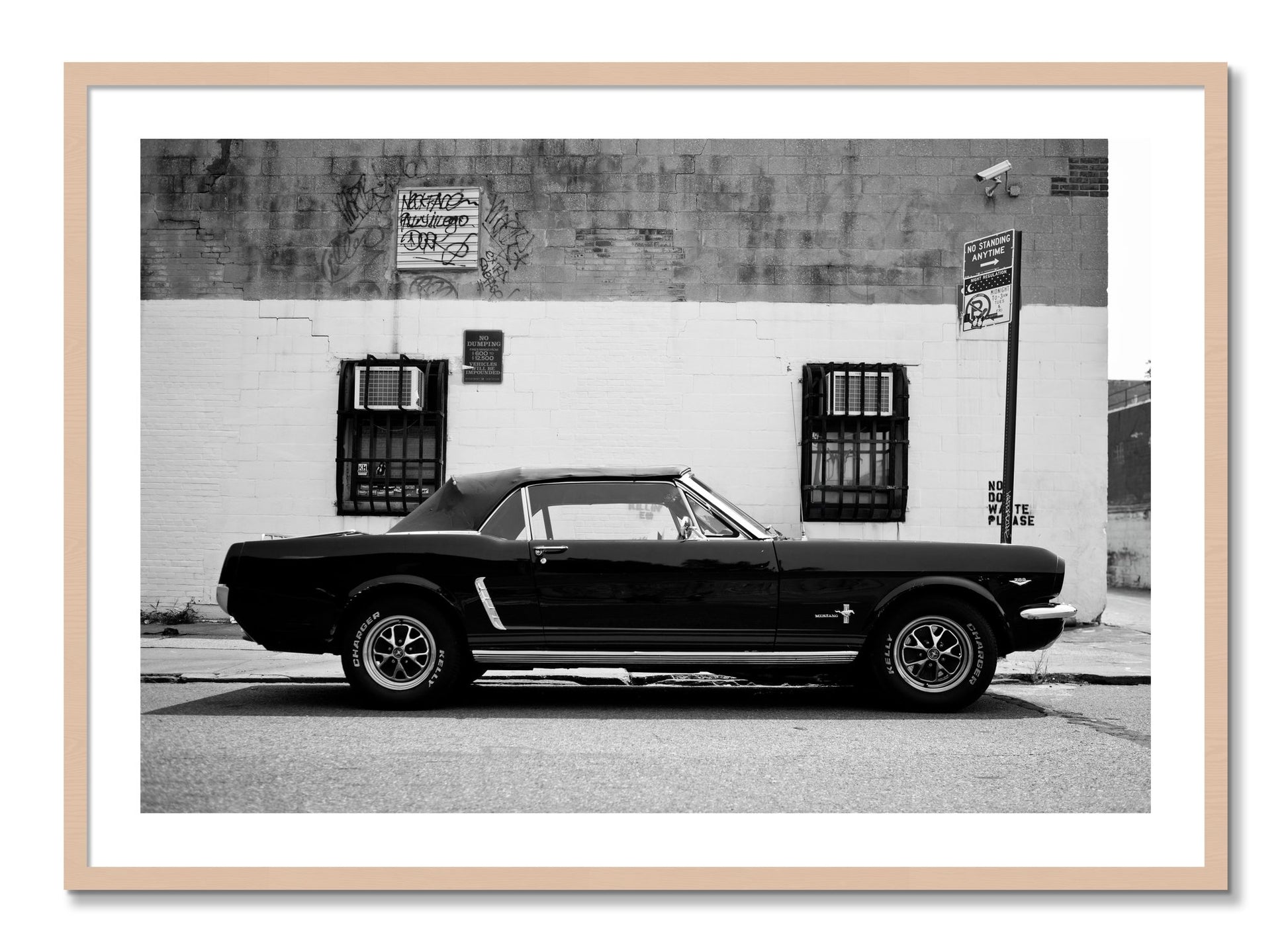 Framed photograph of Mustang by Dylan Ozanich, Maple frame, Borders
