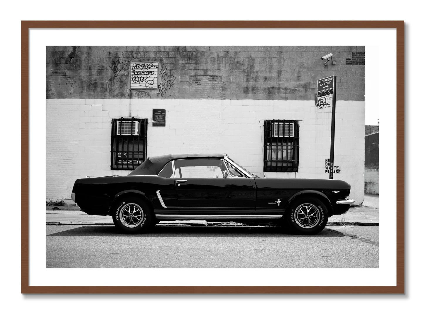 Framed photograph of Mustang by Dylan Ozanich, Walnut frame, Borders