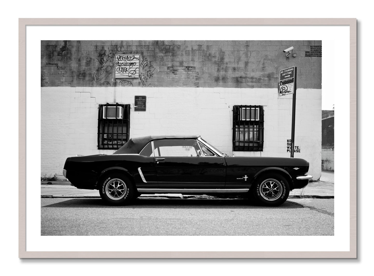 Framed photograph of Mustang by Dylan Ozanich, White Maple frame, Borders