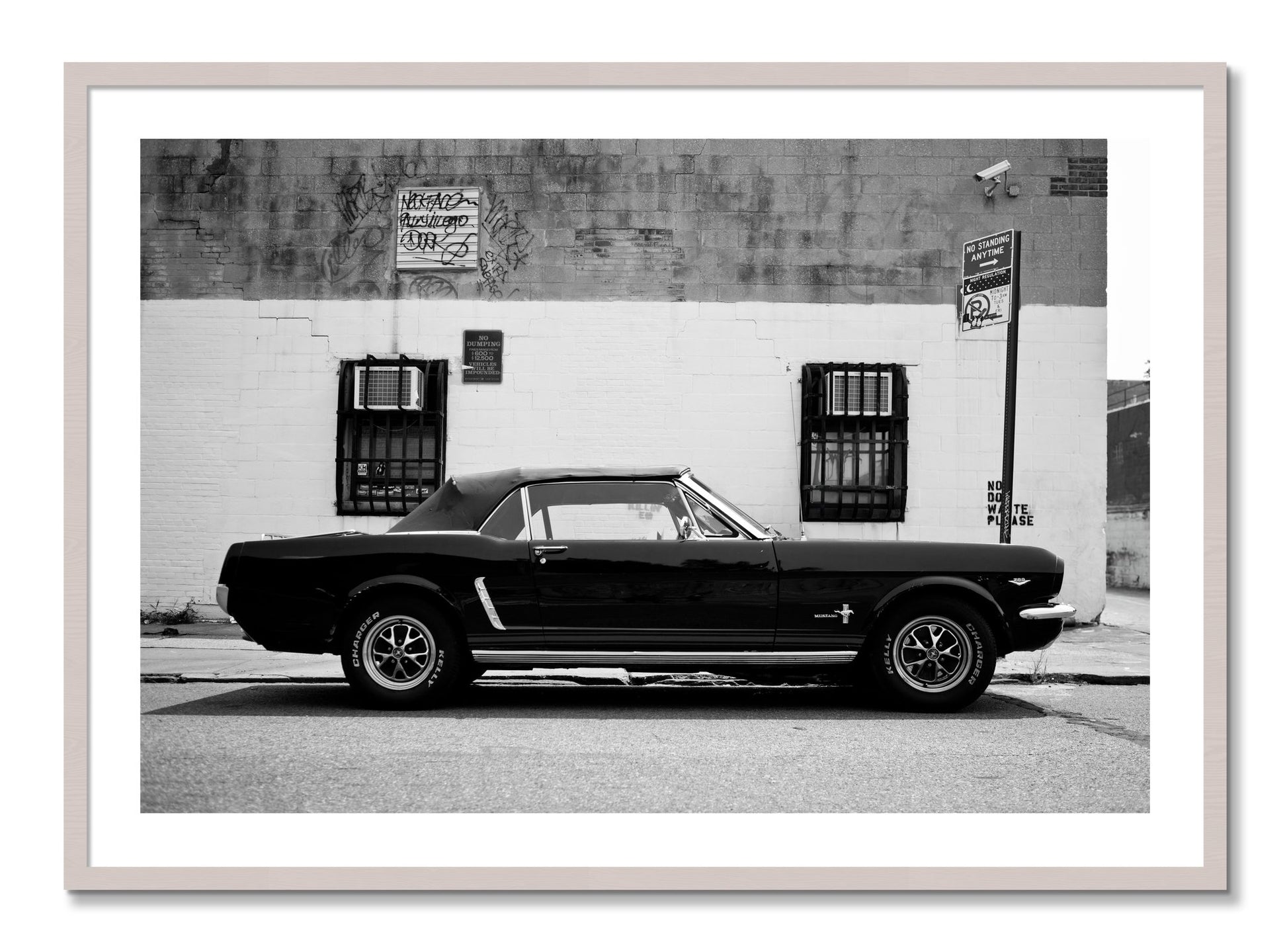Framed photograph of Mustang by Dylan Ozanich, White Maple frame, Borders