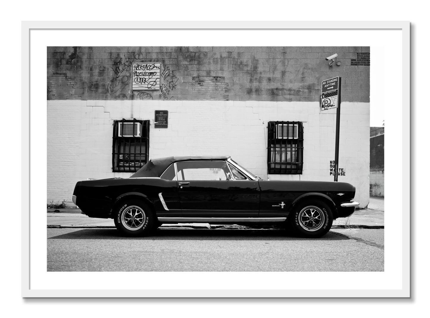Framed photograph of Mustang by Dylan Ozanich, White frame, Borders