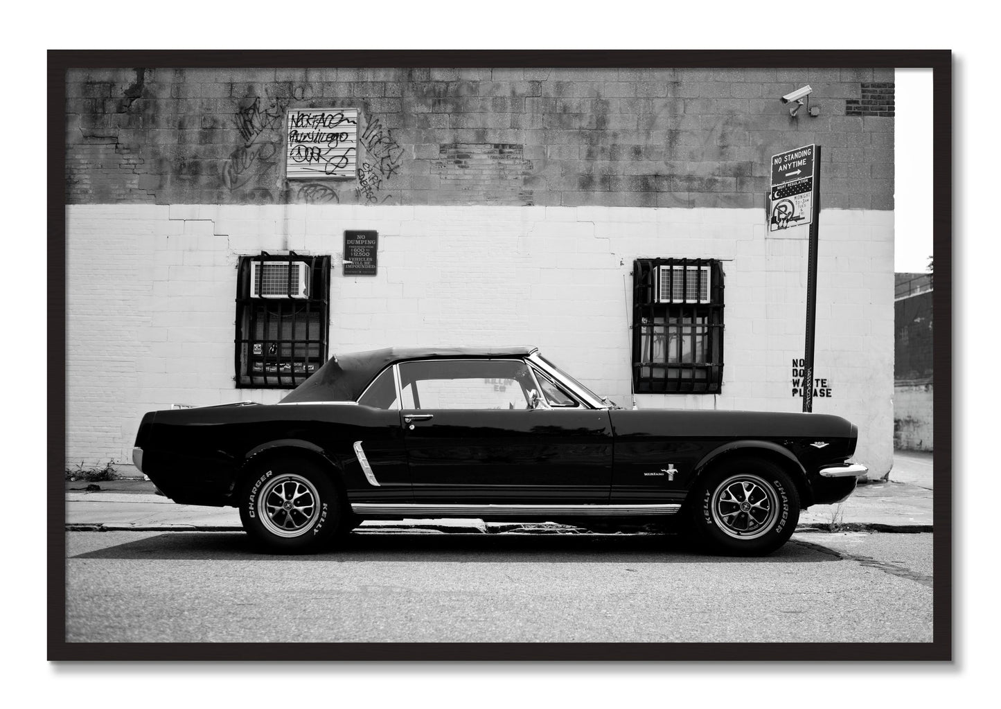Framed photograph of Mustang by Dylan Ozanich, Black Walnut frame, Full Bleed