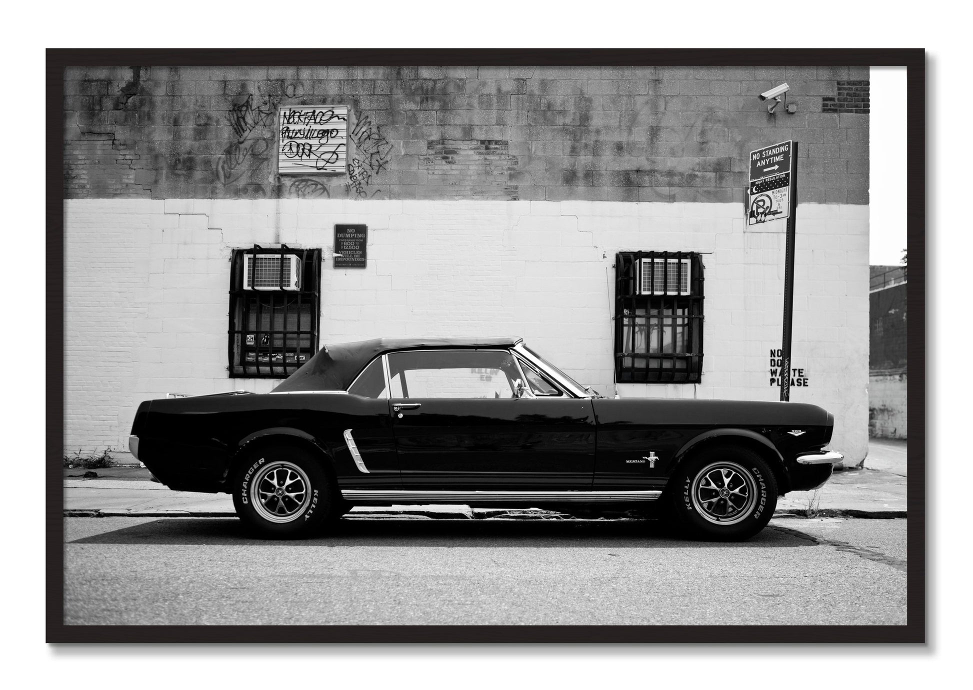 Framed photograph of Mustang by Dylan Ozanich, Black Walnut frame, Full Bleed