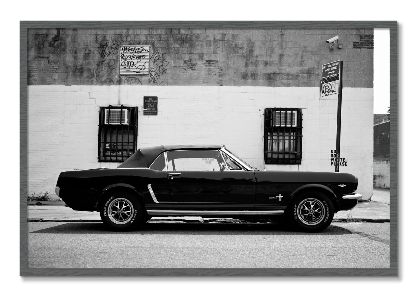 Framed photograph of Mustang by Dylan Ozanich, Grey frame, Full Bleed