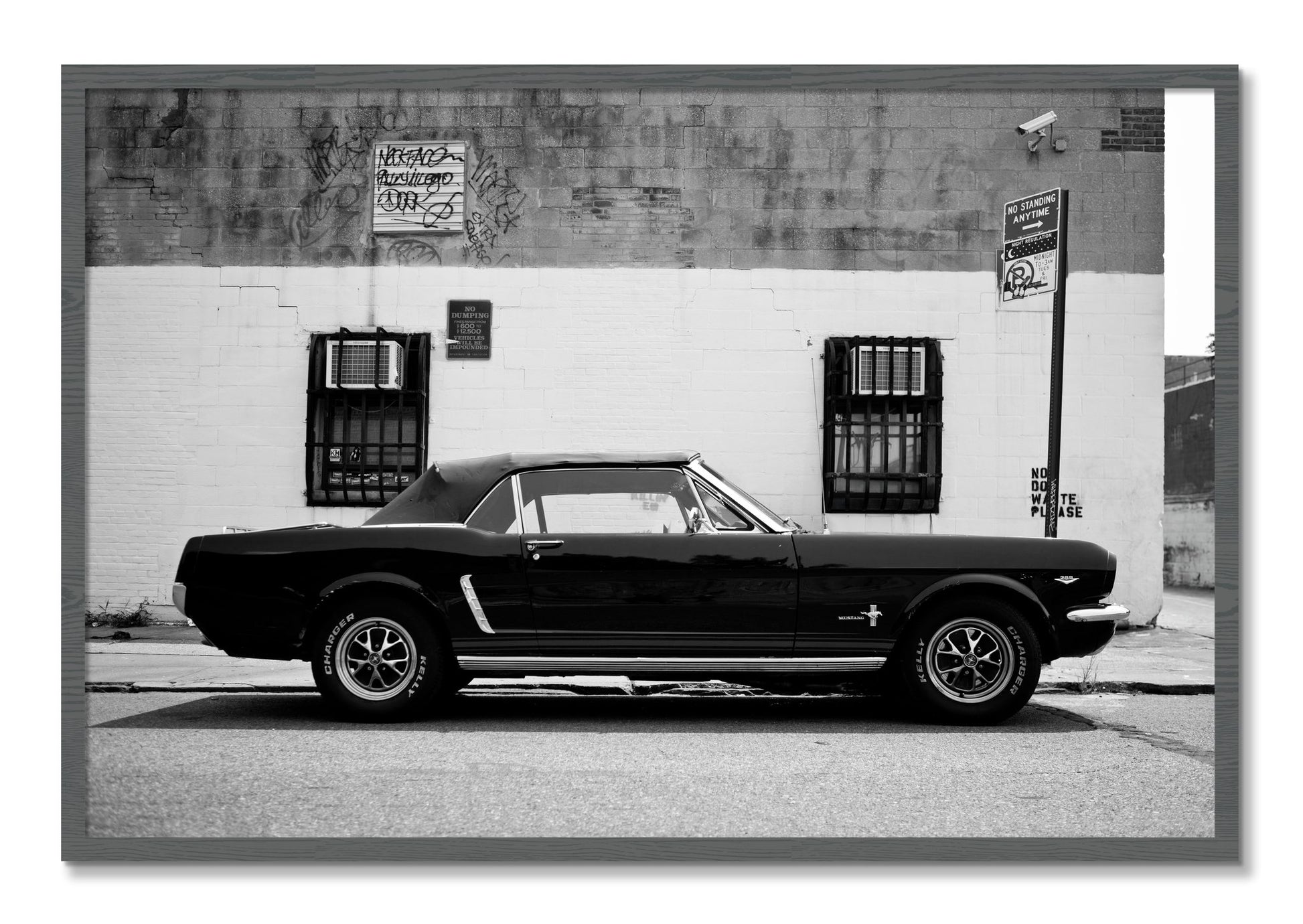 Framed photograph of Mustang by Dylan Ozanich, Grey frame, Full Bleed