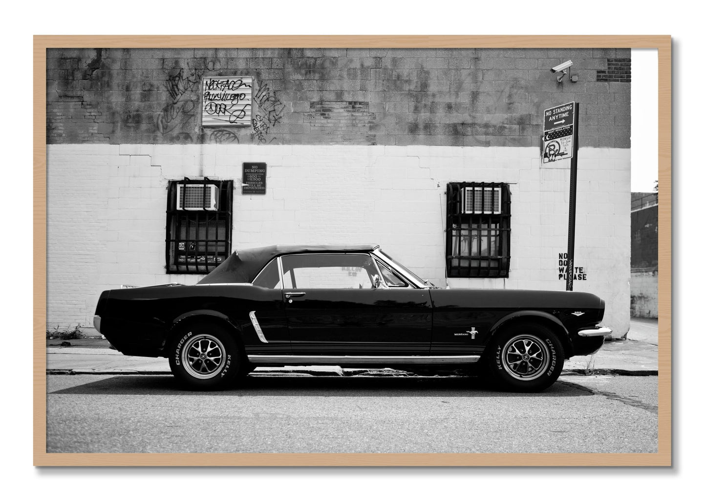 Framed photograph of Mustang by Dylan Ozanich, Oak frame, Full Bleed
