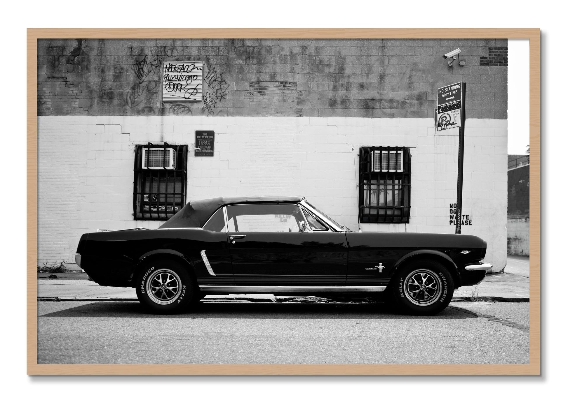 Framed photograph of Mustang by Dylan Ozanich, Oak frame, Full Bleed