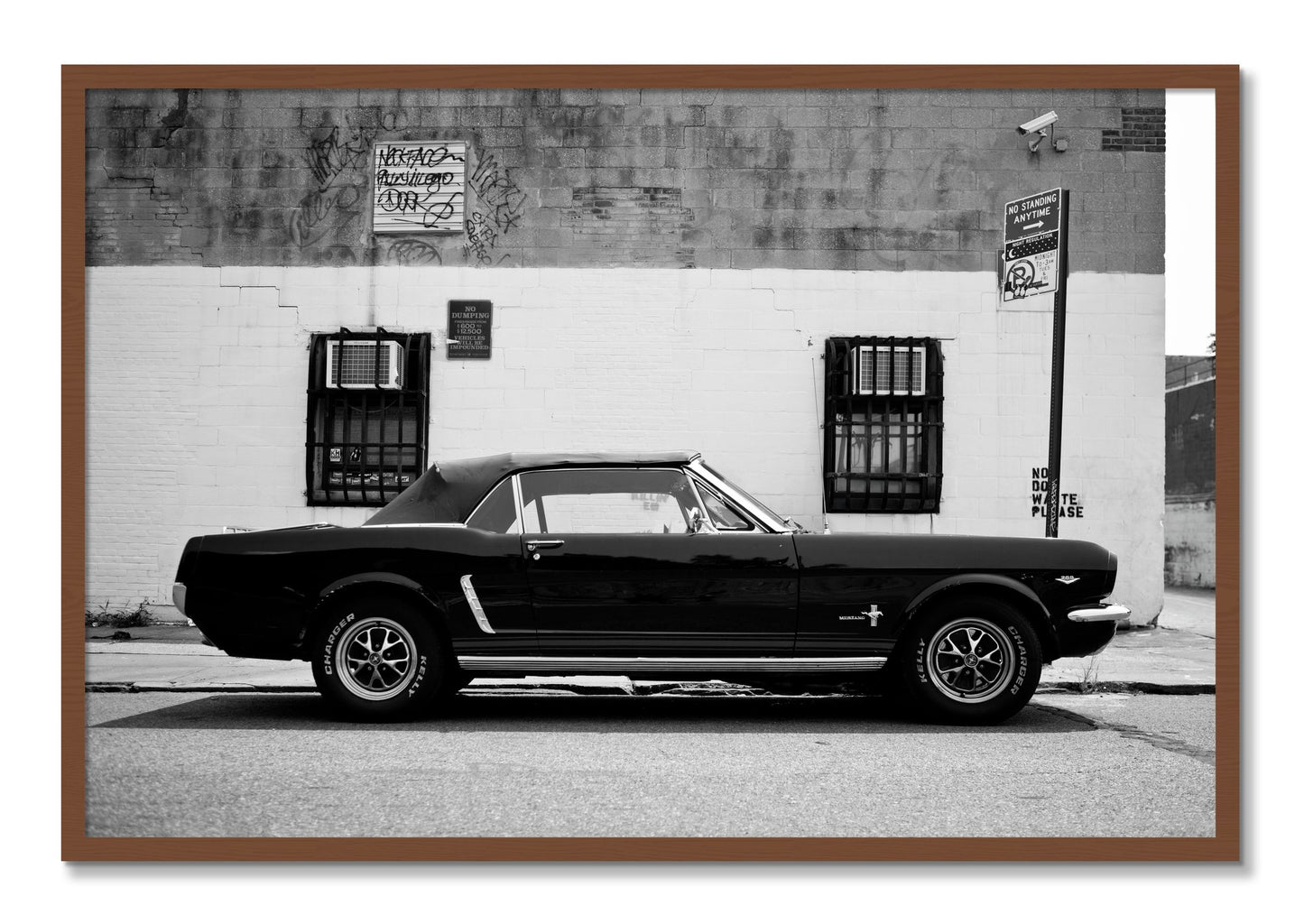 Framed photograph of Mustang by Dylan Ozanich, Walnut frame, Full Bleed