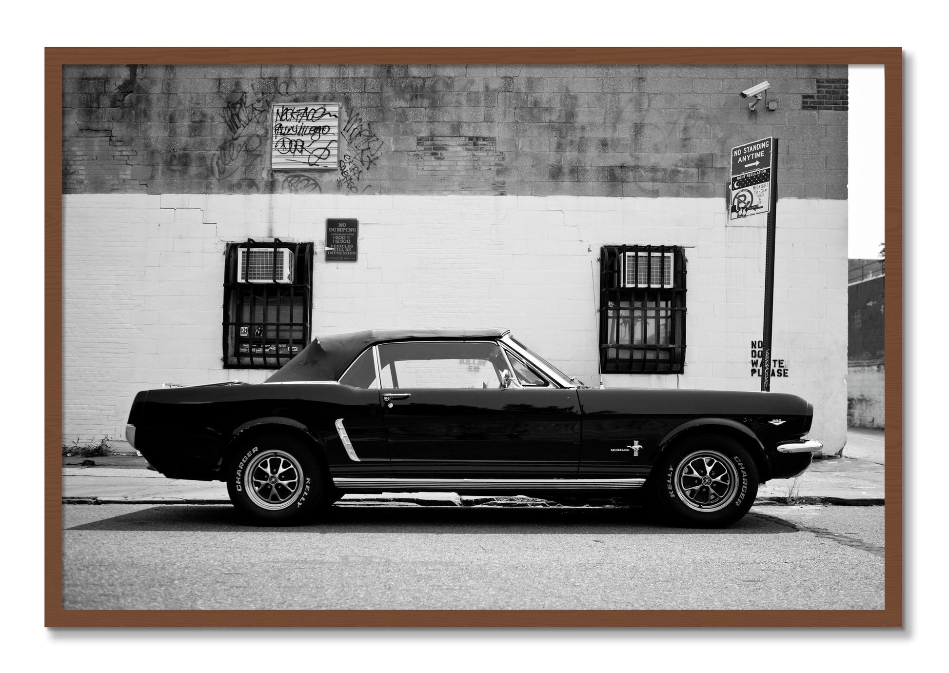 Framed photograph of Mustang by Dylan Ozanich, Walnut frame, Full Bleed