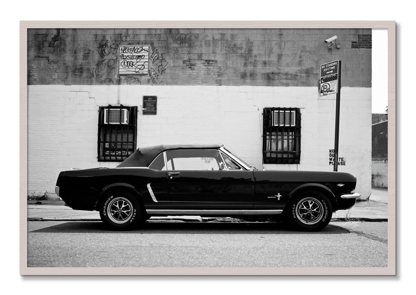 Framed photograph of Mustang by Dylan Ozanich, White Maple frame, Full Bleed