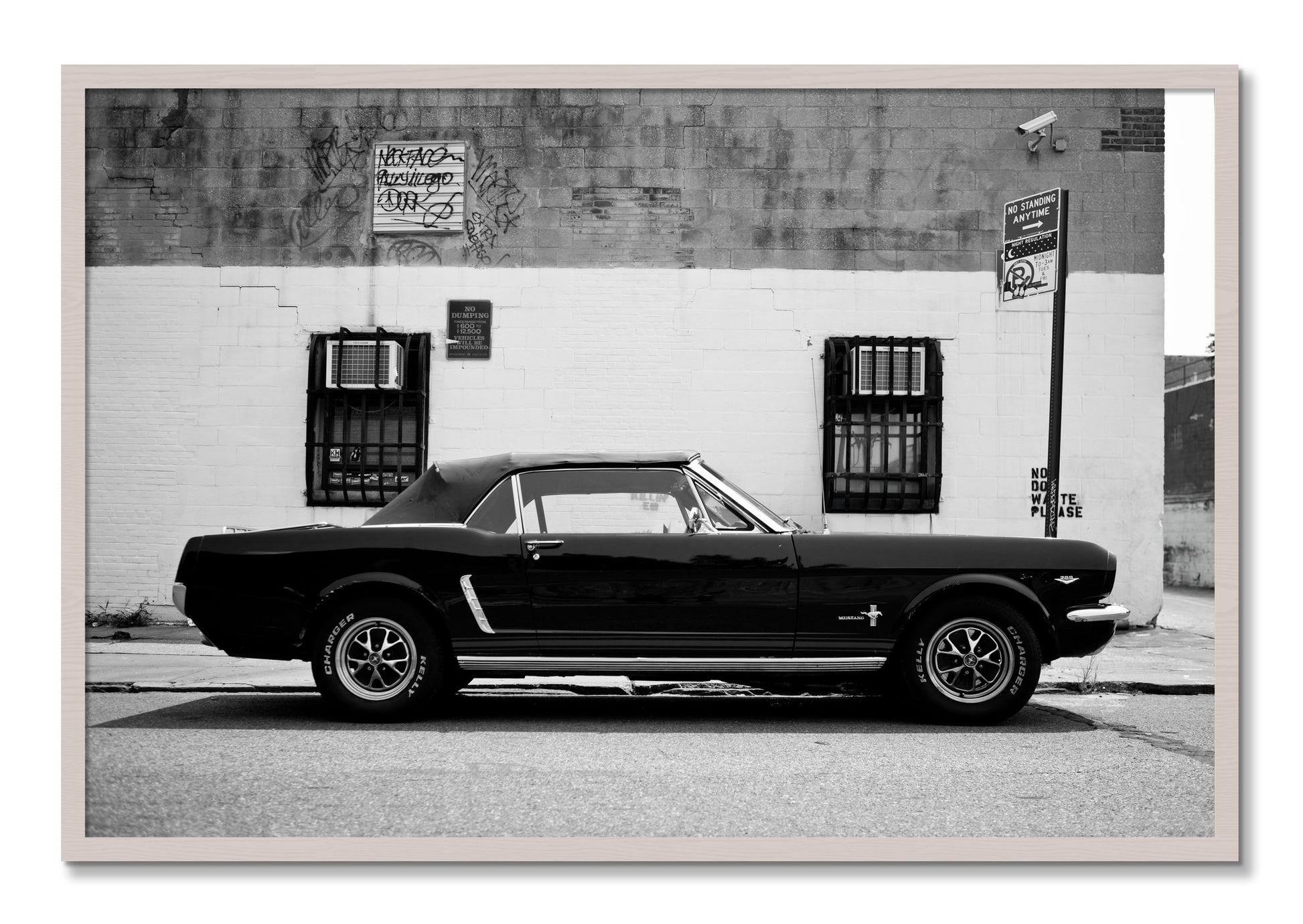 Framed photograph of Mustang by Dylan Ozanich, White Maple frame, Full Bleed