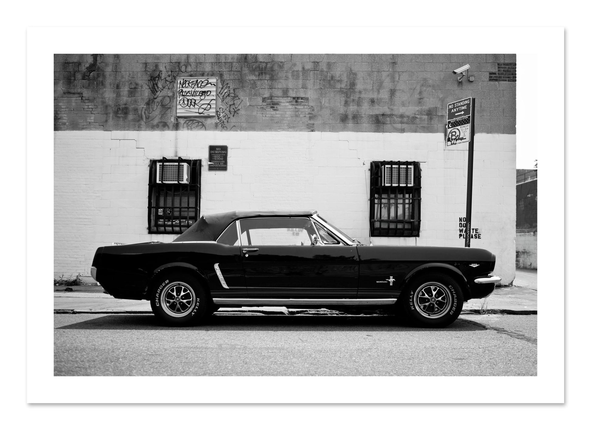 Fine art print of Mustang by Dylan Ozanich, unframed