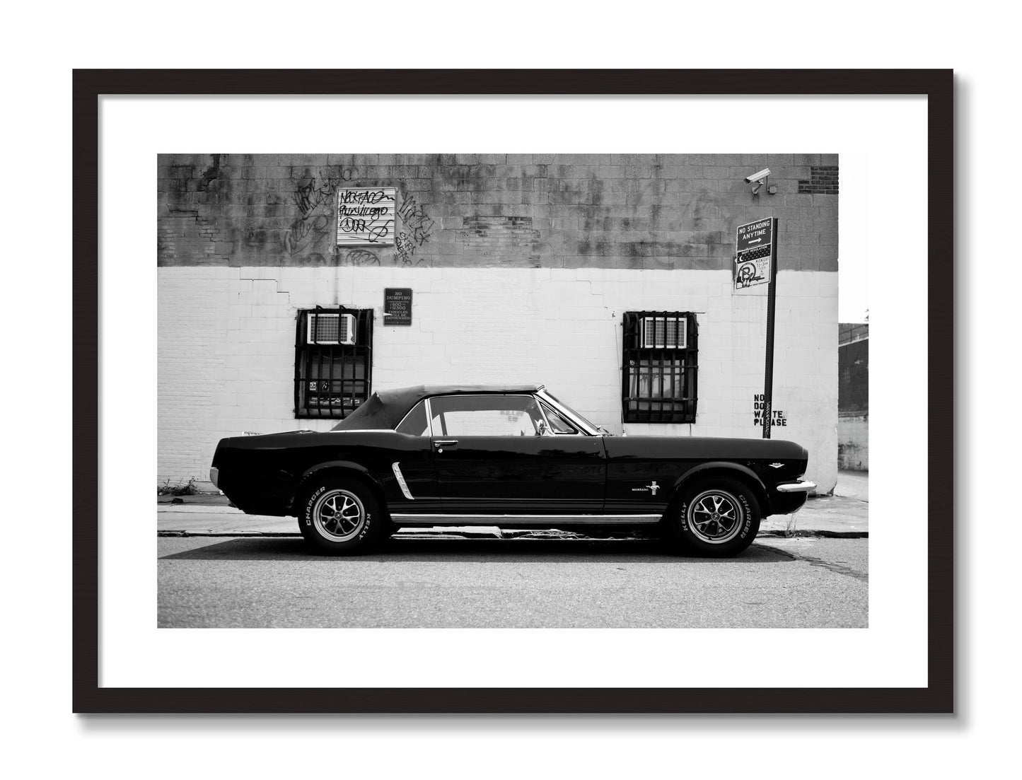 Framed photograph of Mustang by Dylan Ozanich, Black Walnut frame, Borders