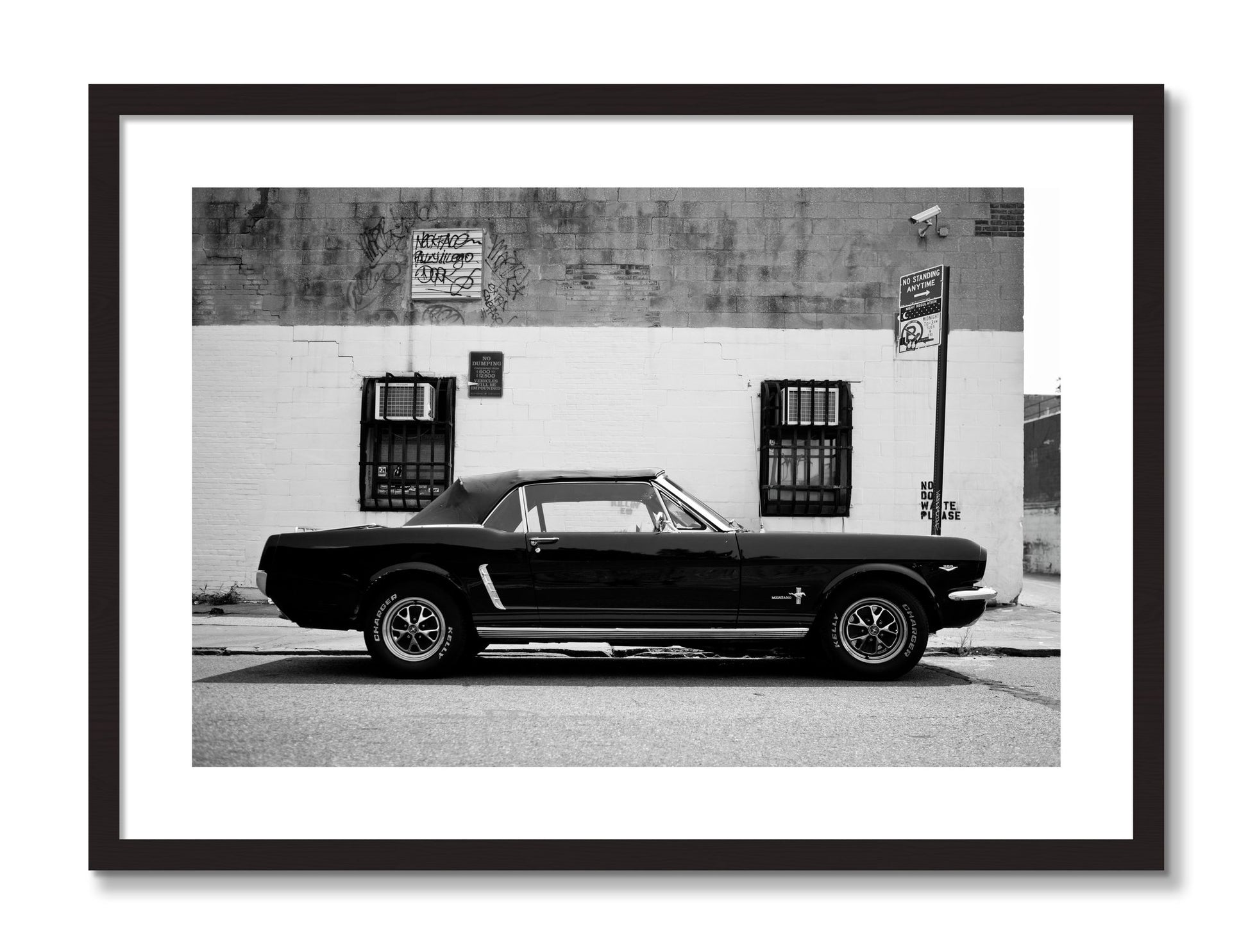 Framed photograph of Mustang by Dylan Ozanich, Black frame, Borders