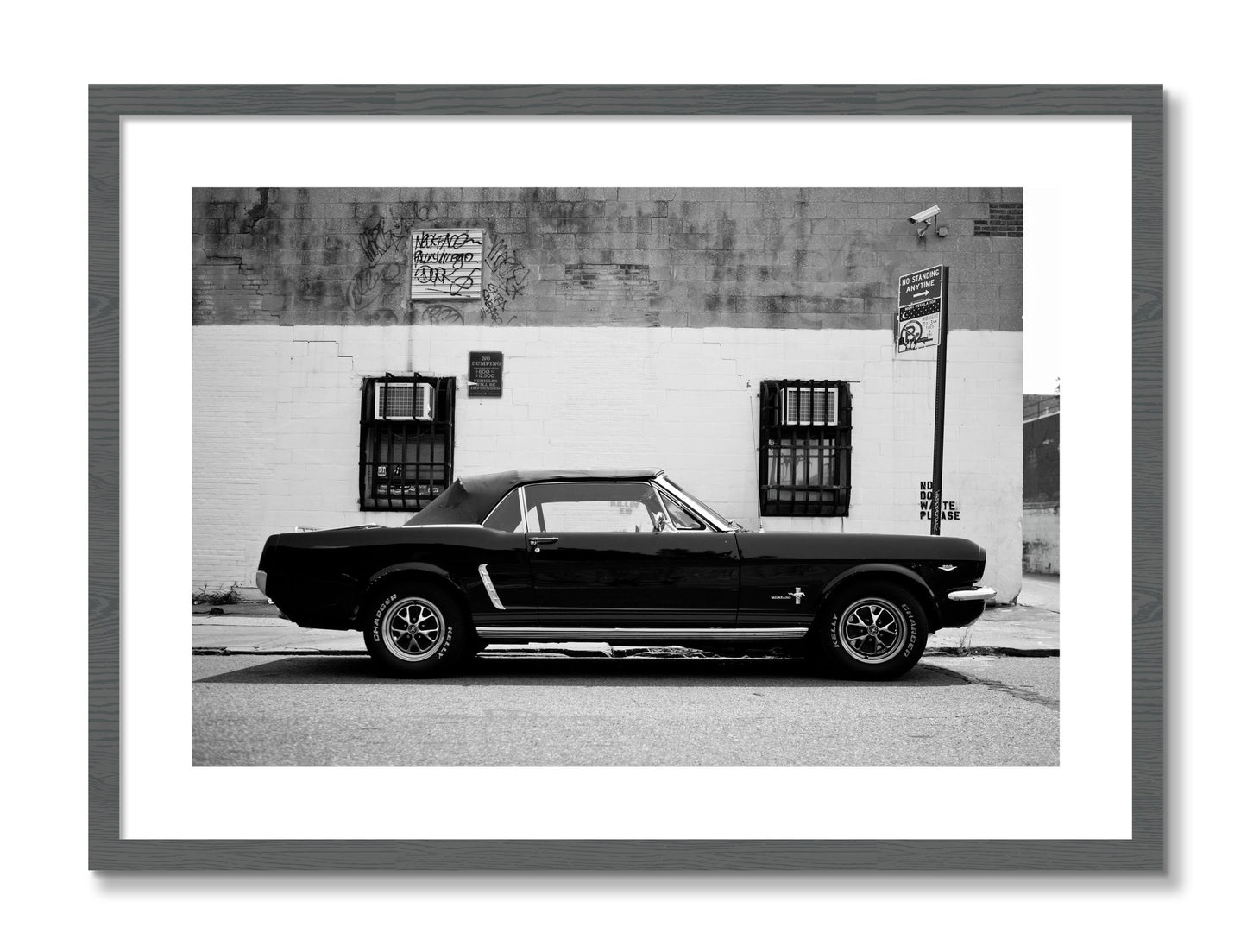 Framed photograph of Mustang by Dylan Ozanich, Grey frame, Borders