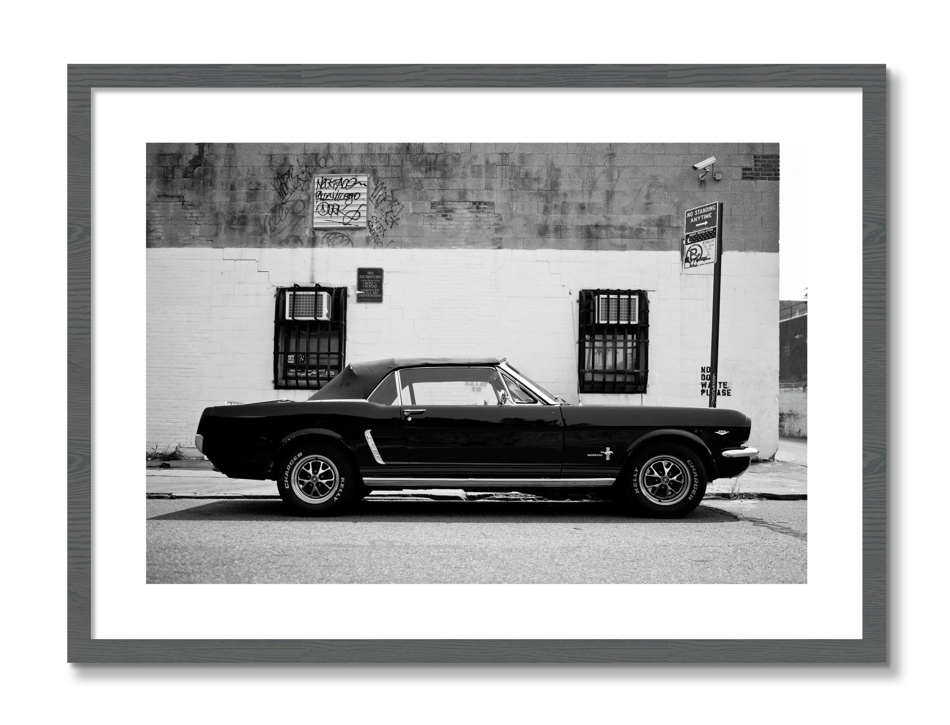 Framed photograph of Mustang by Dylan Ozanich, Grey frame, Borders