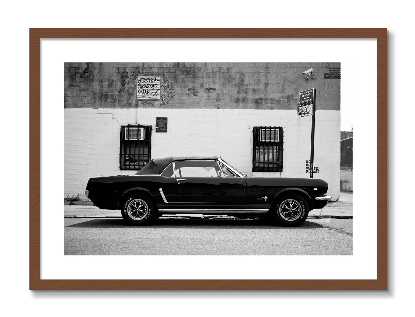 Framed photograph of Mustang by Dylan Ozanich, Walnut frame, Borders