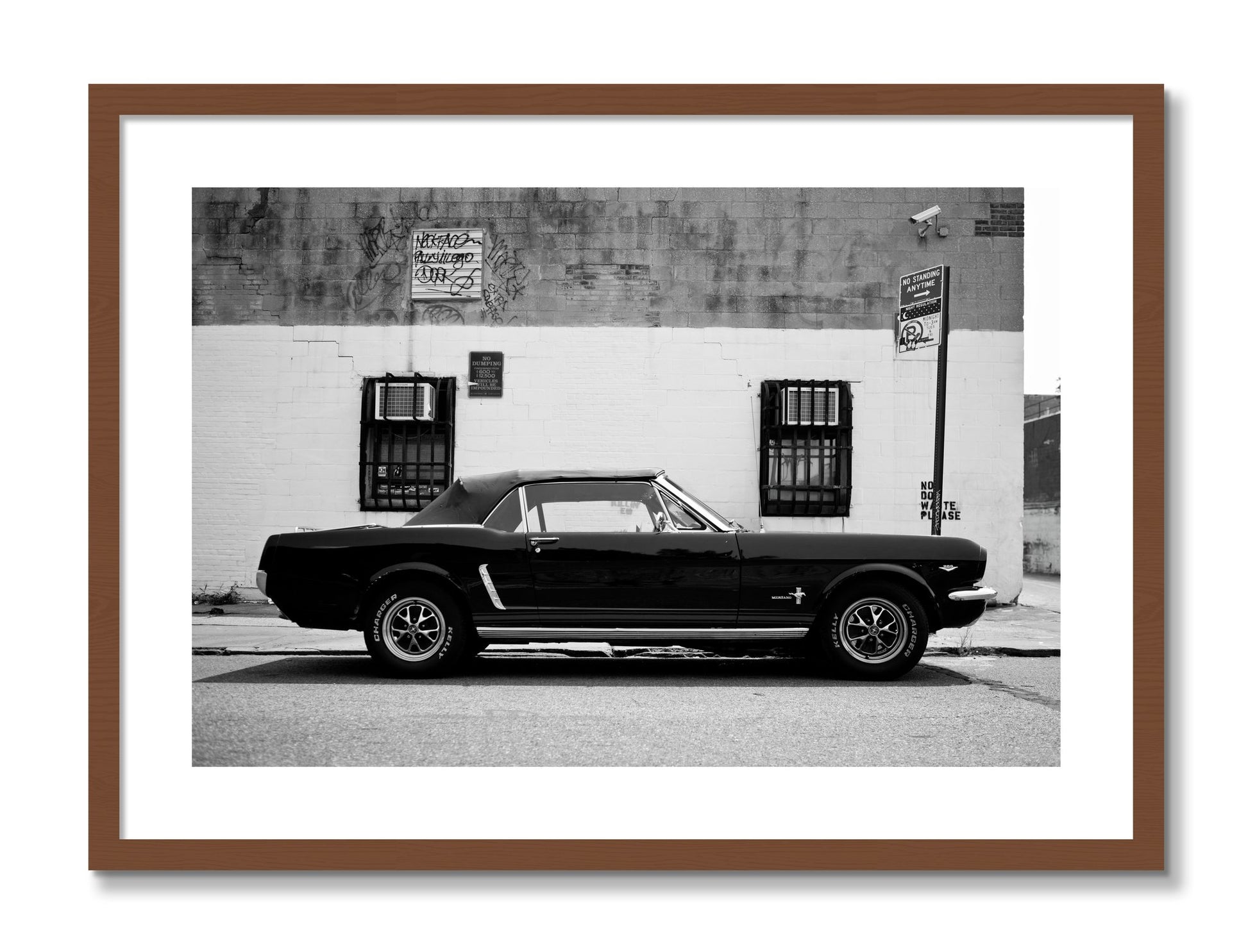 Framed photograph of Mustang by Dylan Ozanich, Walnut frame, Borders