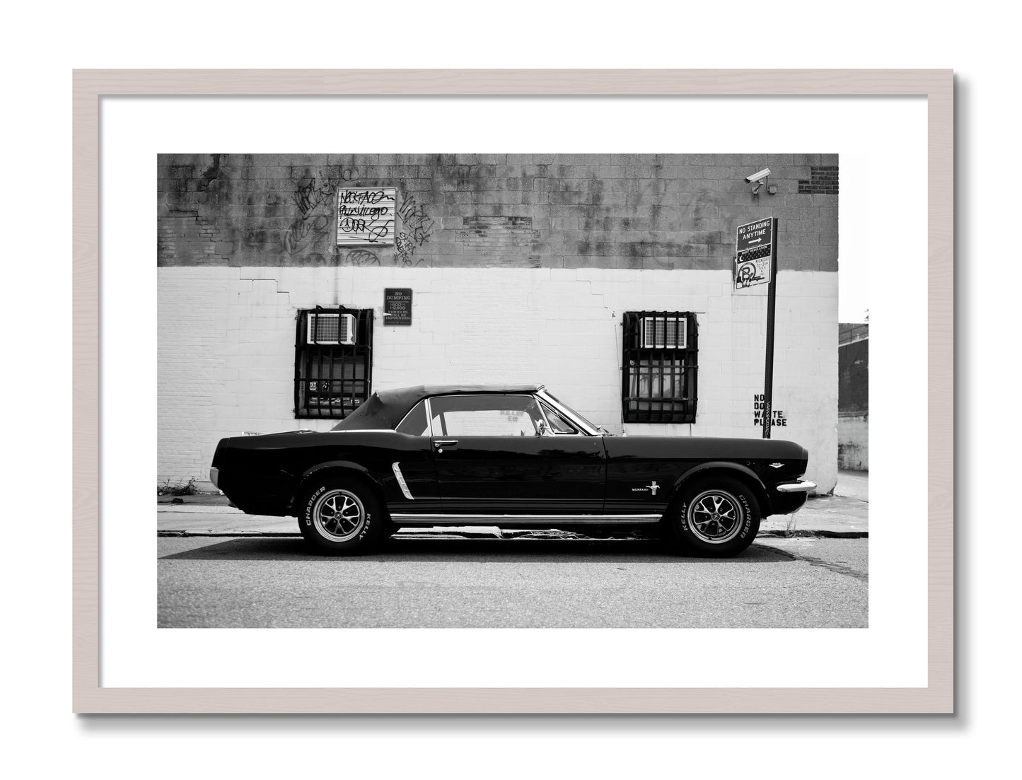 Framed photograph of Mustang by Dylan Ozanich, White Maple frame, Borders