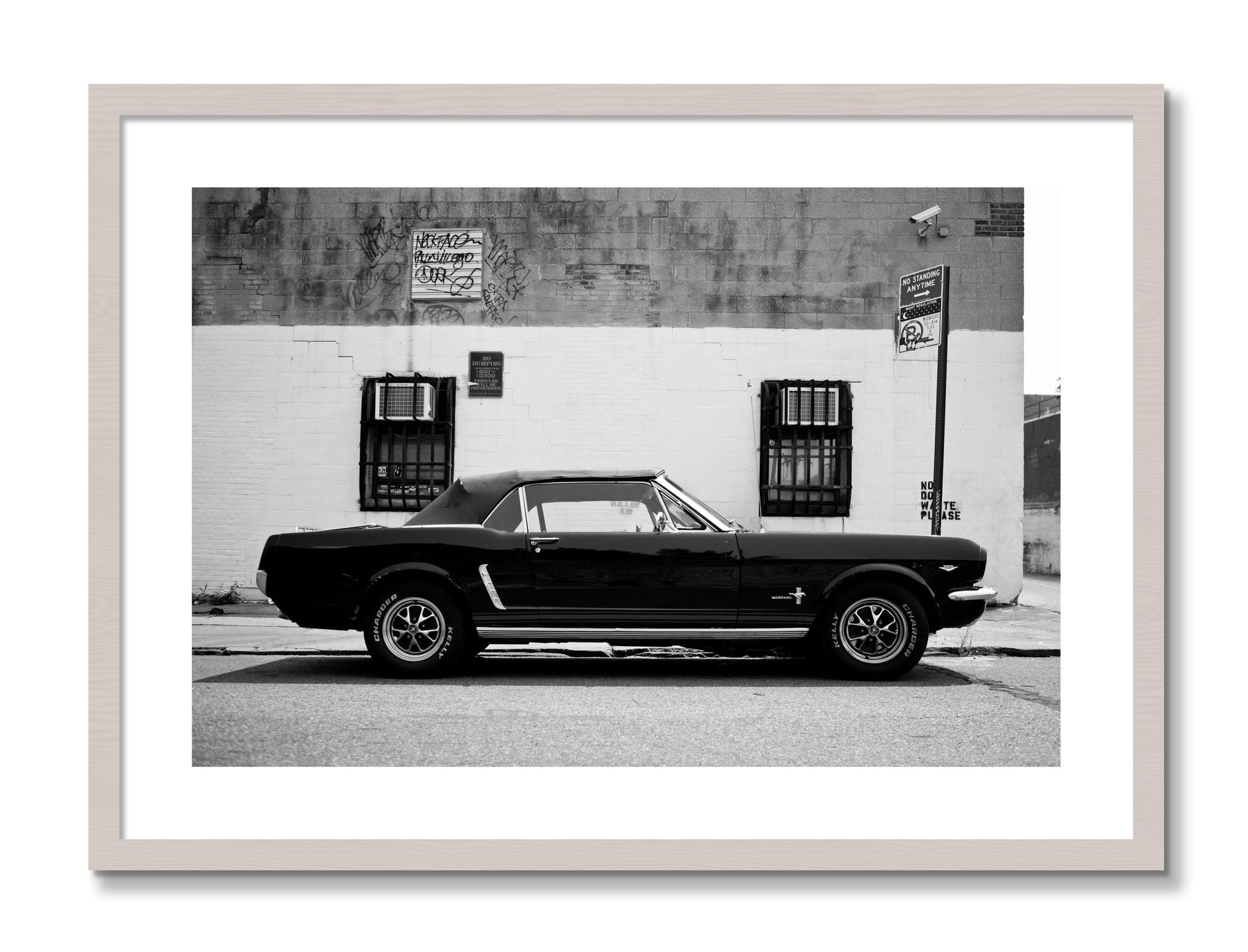 Framed photograph of Mustang by Dylan Ozanich, White Maple frame, Borders