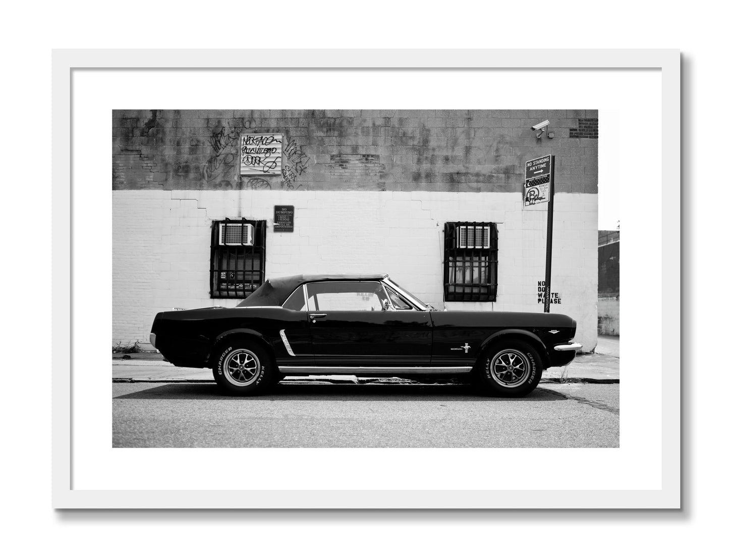 Framed photograph of Mustang by Dylan Ozanich, White frame, Borders