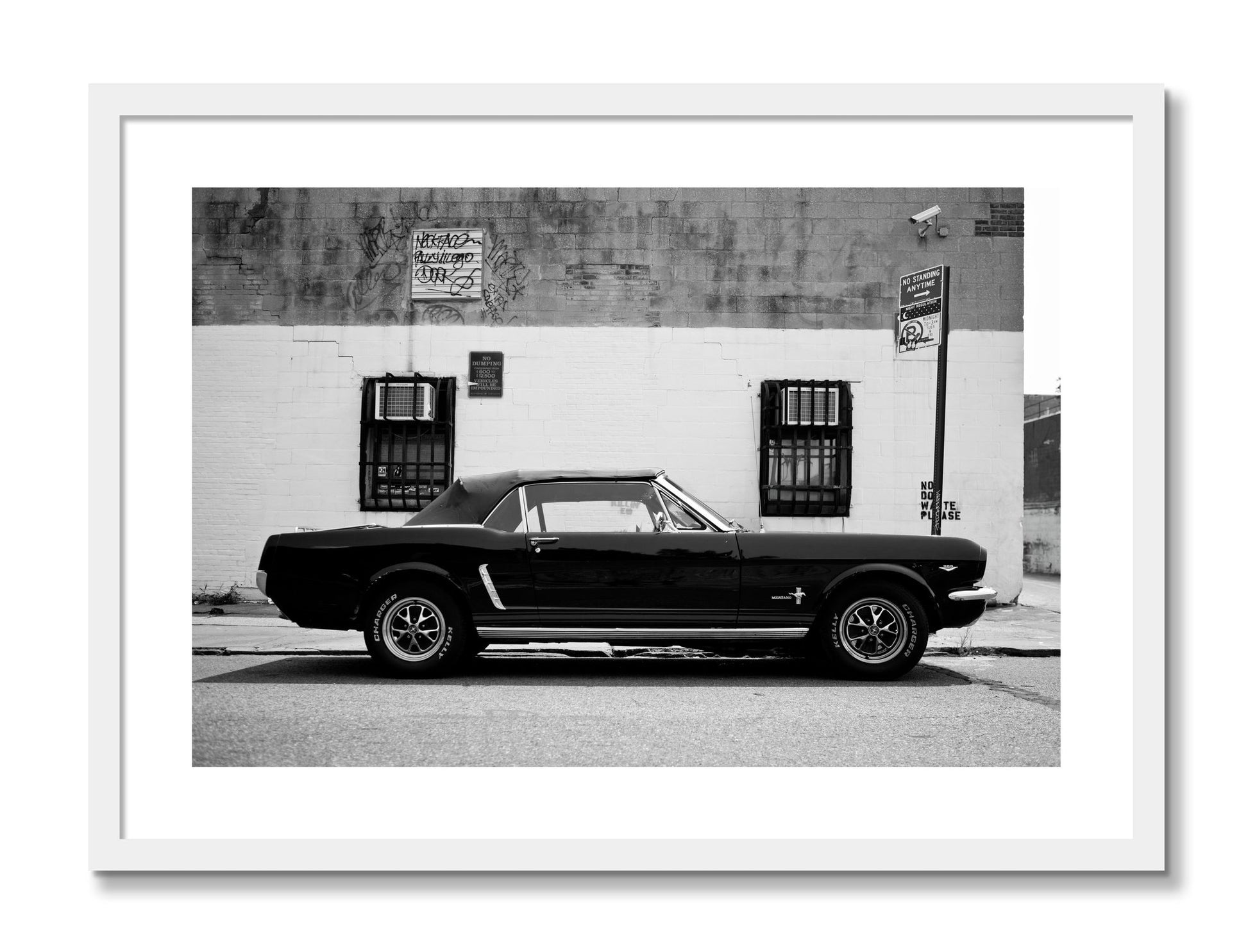 Framed photograph of Mustang by Dylan Ozanich, White frame, Borders