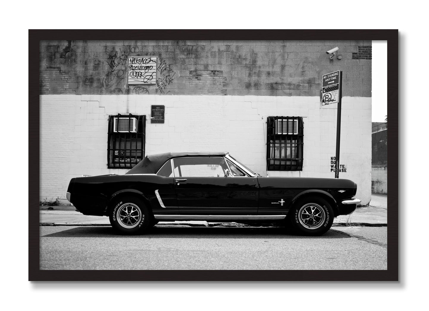 Framed photograph of Mustang by Dylan Ozanich, Black Walnut frame, Full Bleed
