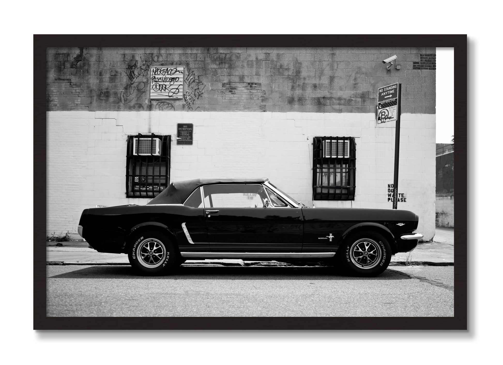 Framed photograph of Mustang by Dylan Ozanich, Black Walnut frame, Full Bleed