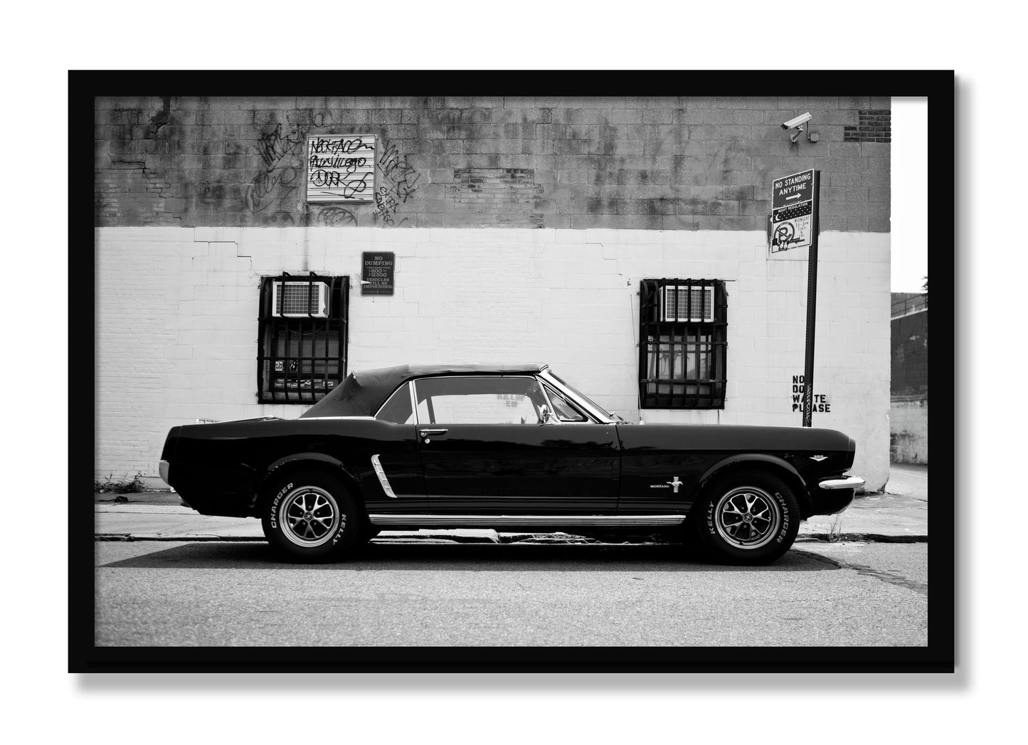 Framed photograph of Mustang by Dylan Ozanich, Black frame, Full Bleed