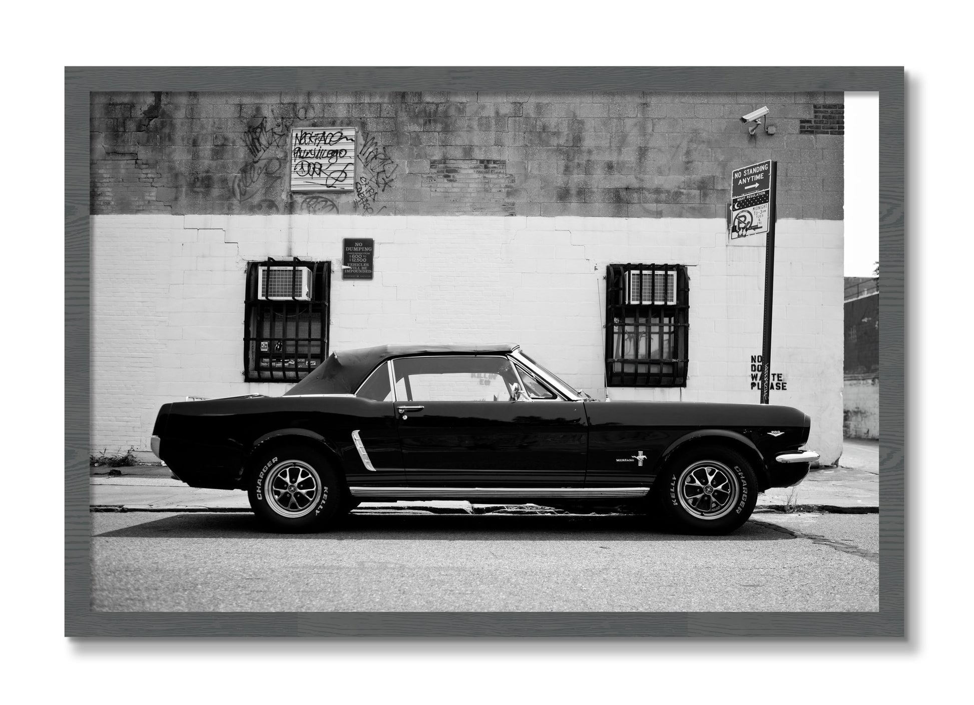 Framed photograph of Mustang by Dylan Ozanich, Grey frame, Full Bleed