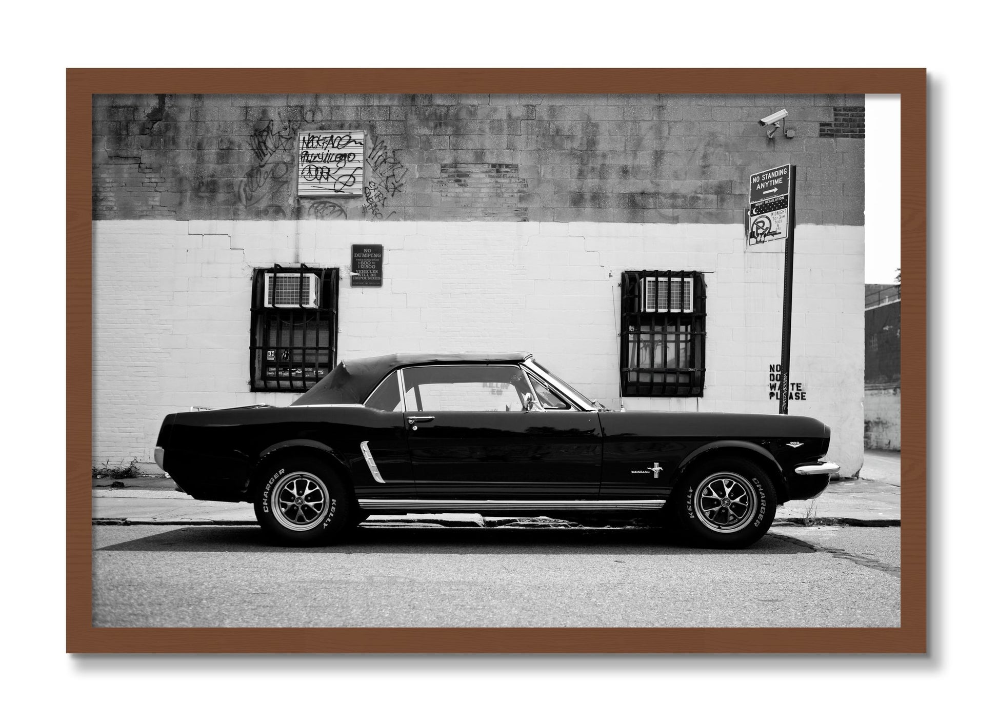 Framed photograph of Mustang by Dylan Ozanich, Walnut frame, Full Bleed
