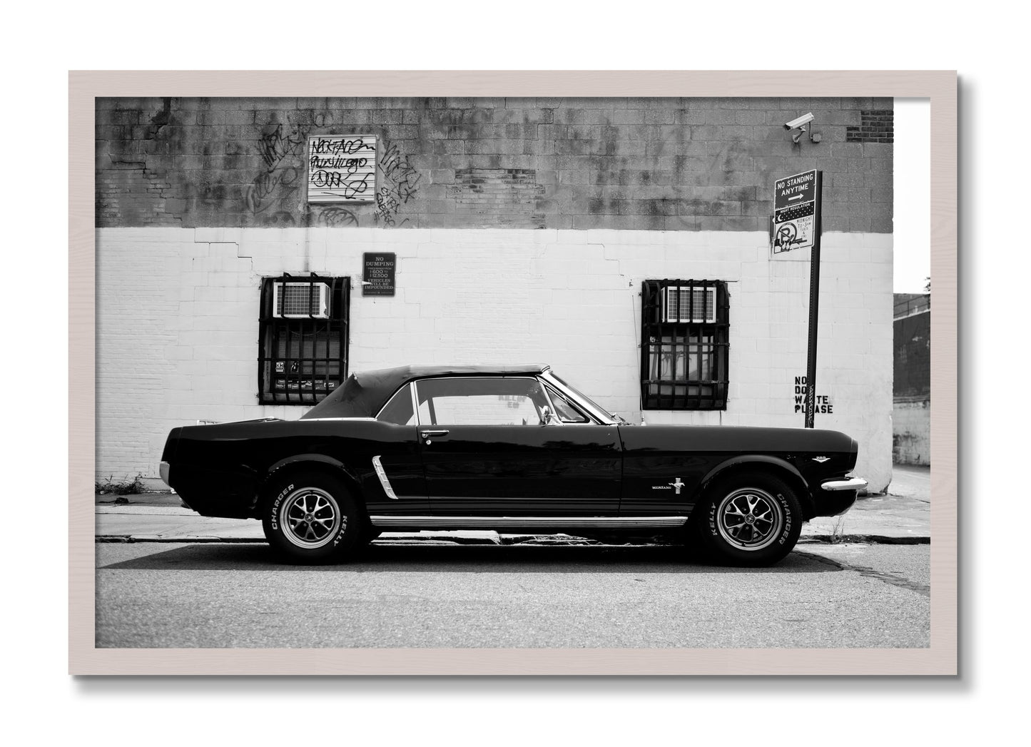 Framed photograph of Mustang by Dylan Ozanich, White Maple frame, Full Bleed