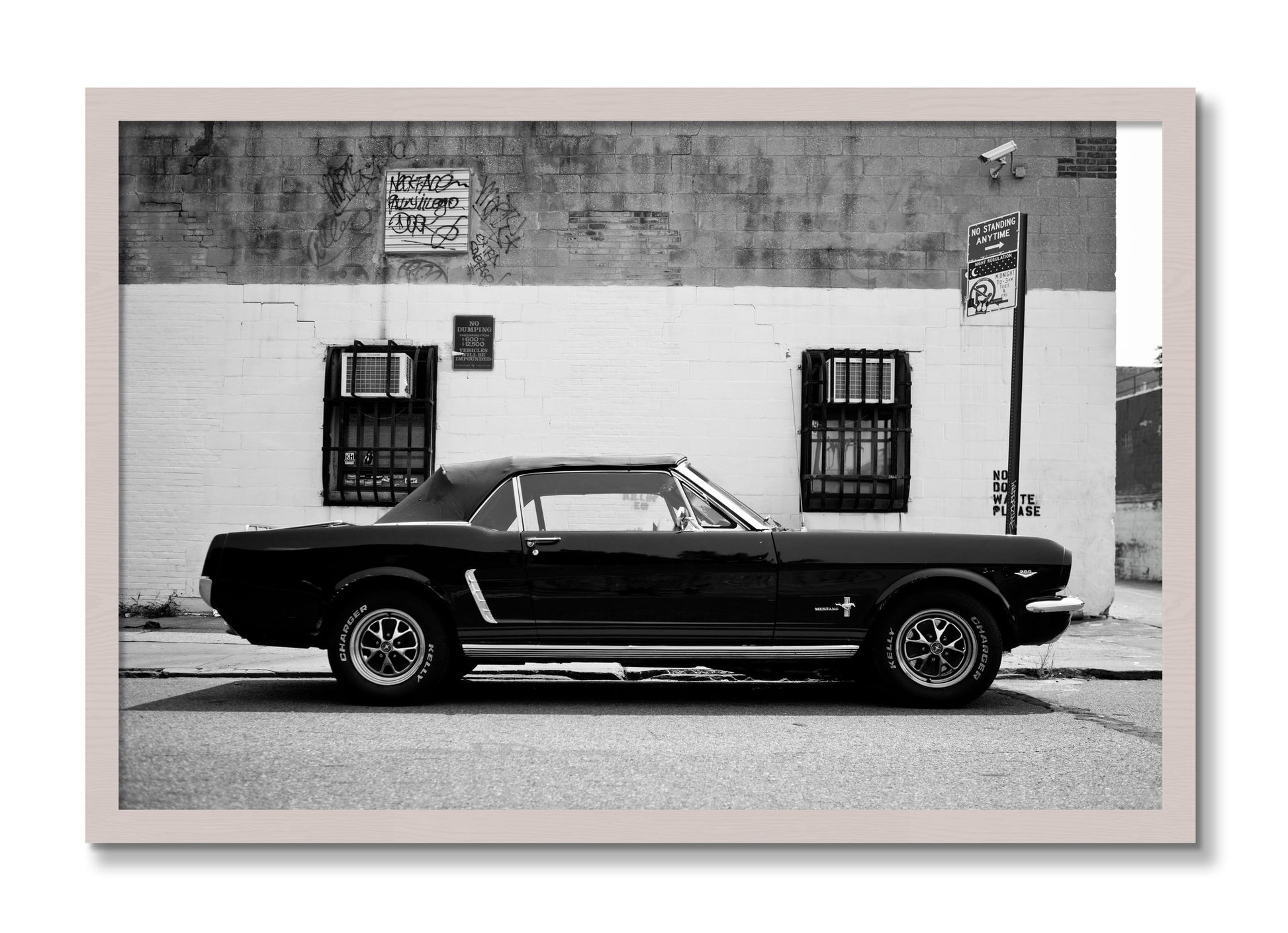 Framed photograph of Mustang by Dylan Ozanich, White Maple frame, Full Bleed
