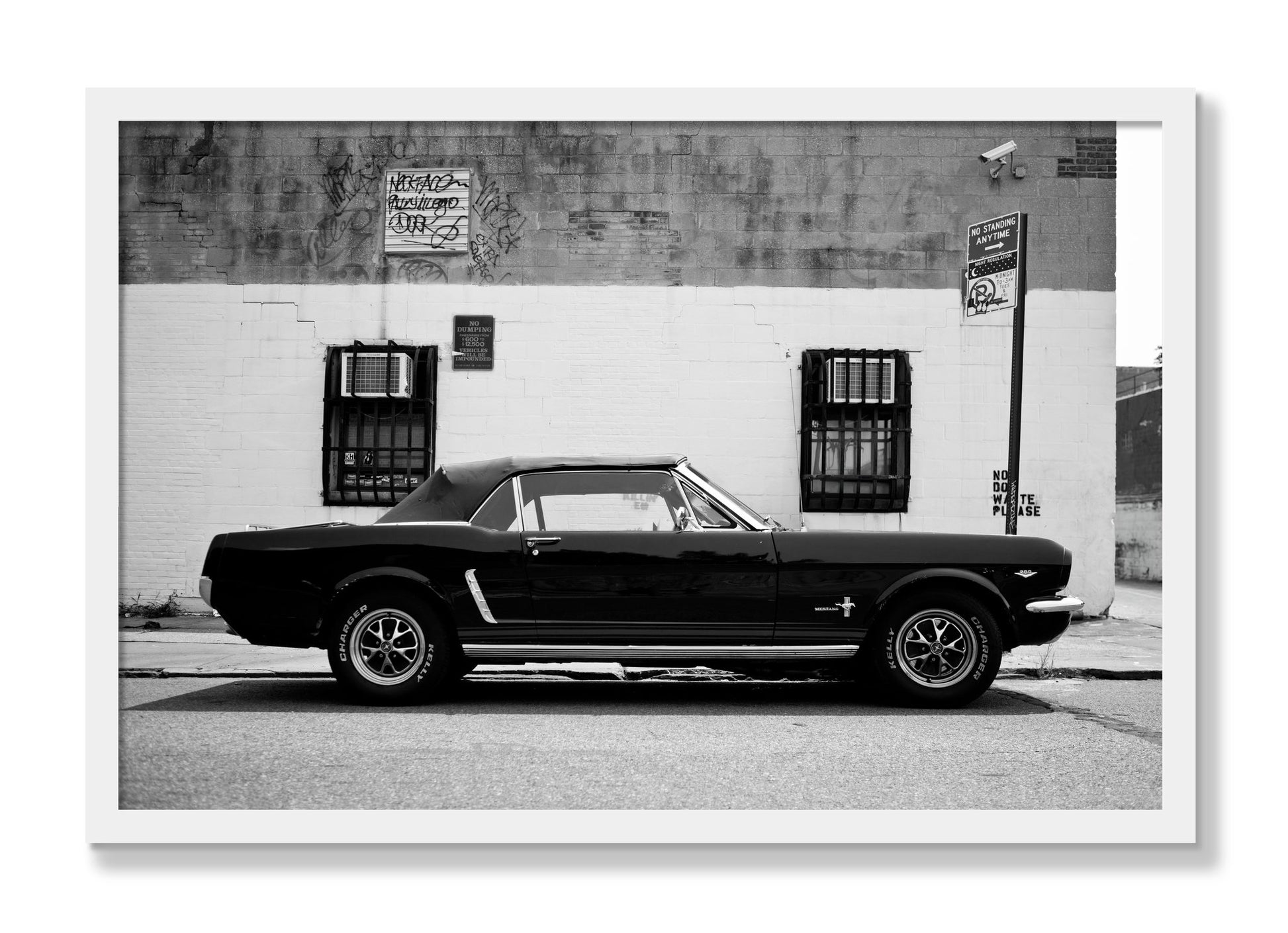 Framed photograph of Mustang by Dylan Ozanich, White frame, Full Bleed