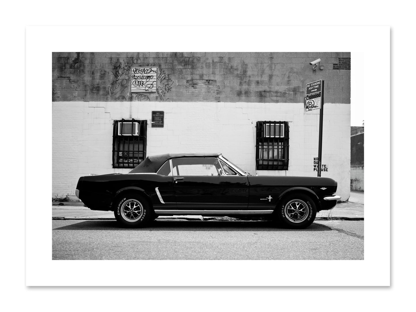 Fine art print of Mustang by Dylan Ozanich, unframed