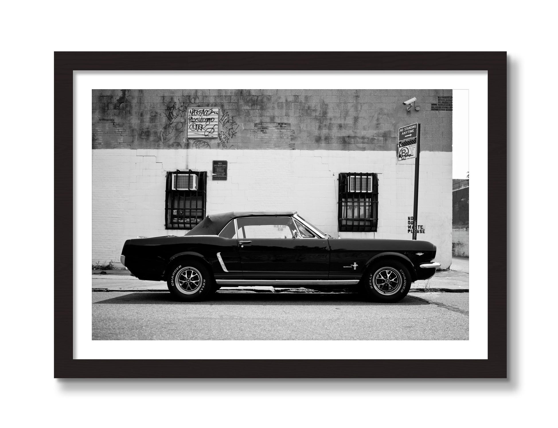 Framed photograph of Mustang by Dylan Ozanich, Black Walnut frame, Borders