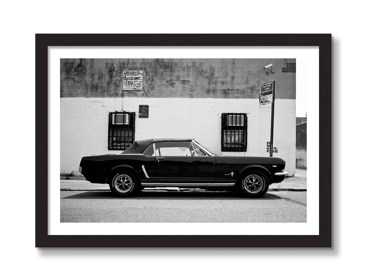 Framed photograph of Mustang by Dylan Ozanich, Black frame, Borders