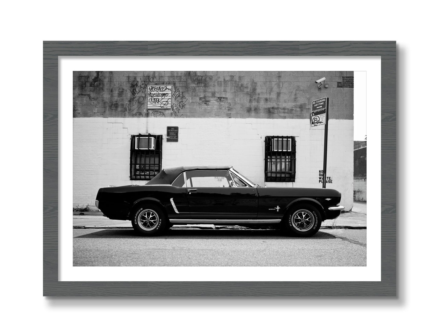 Framed photograph of Mustang by Dylan Ozanich, Grey frame, Borders