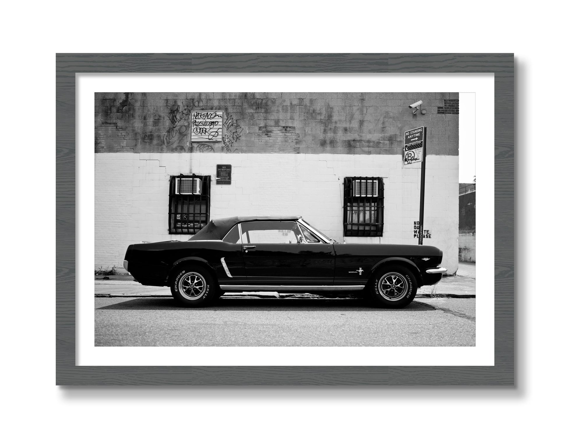 Framed photograph of Mustang by Dylan Ozanich, Grey frame, Borders