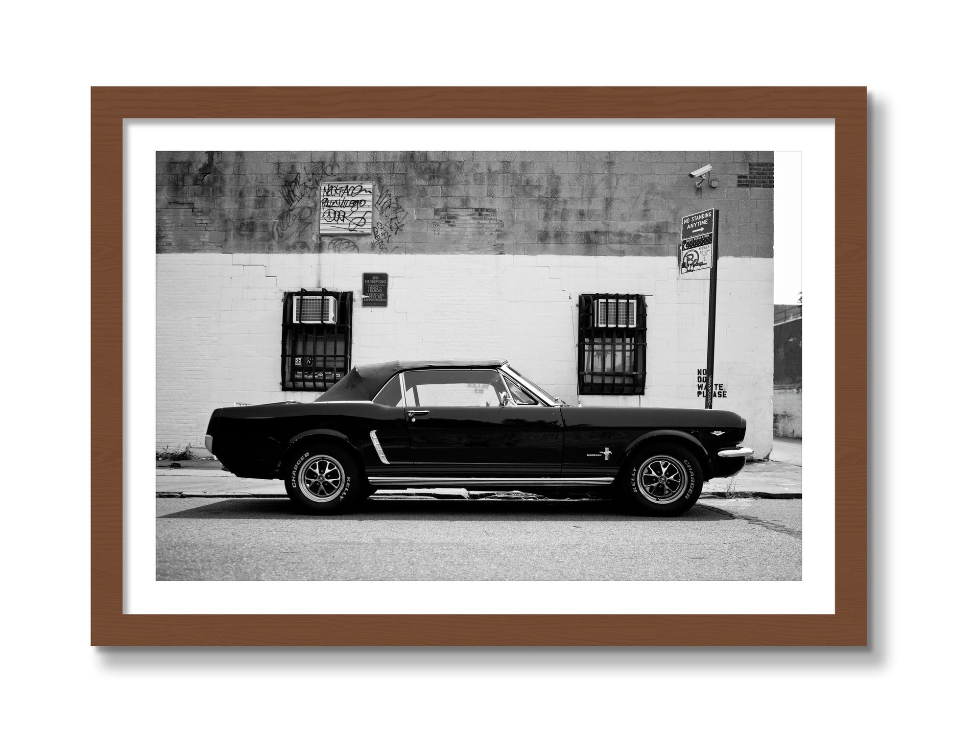 Framed photograph of Mustang by Dylan Ozanich, Walnut frame, Borders