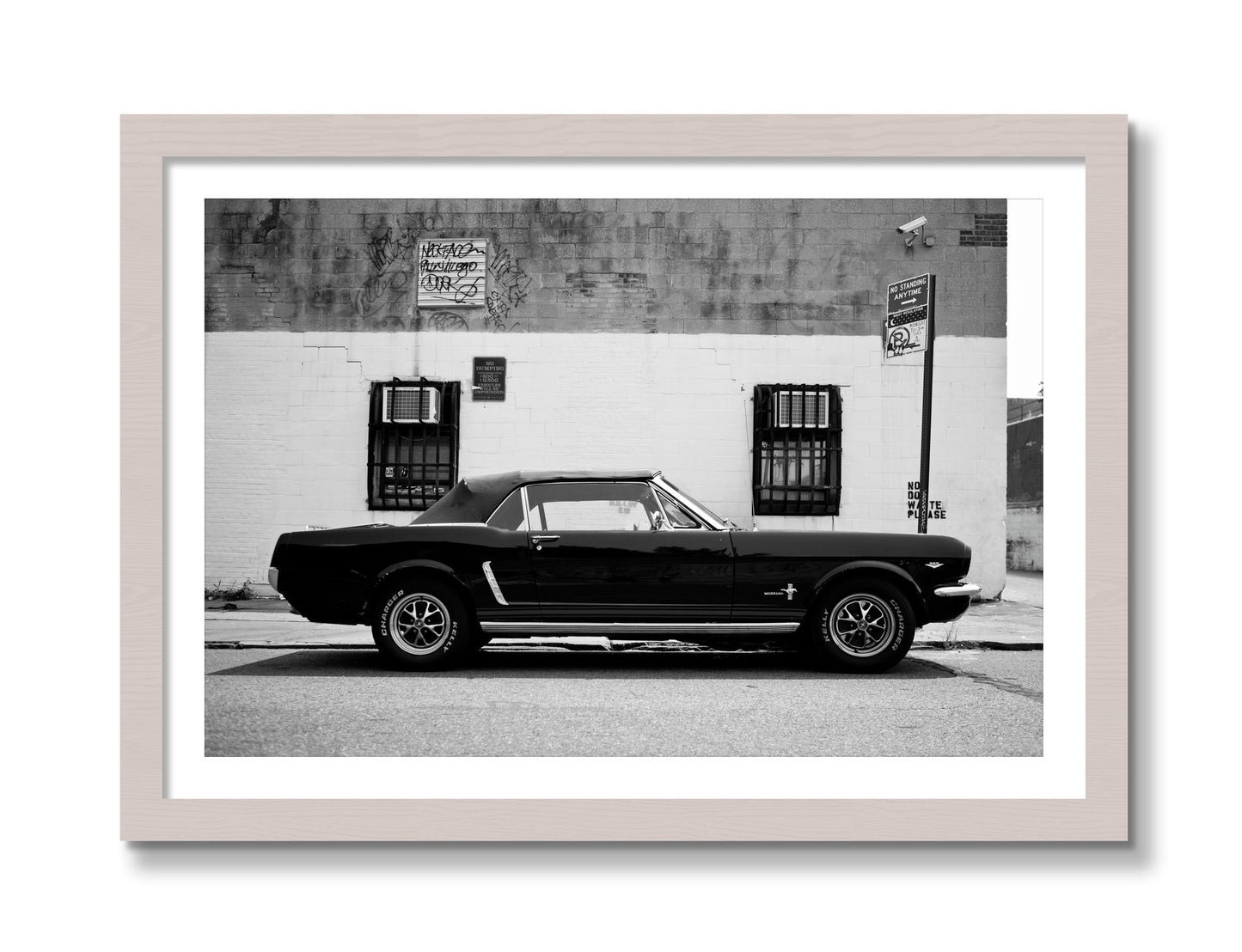 Framed photograph of Mustang by Dylan Ozanich, White Maple frame, Borders