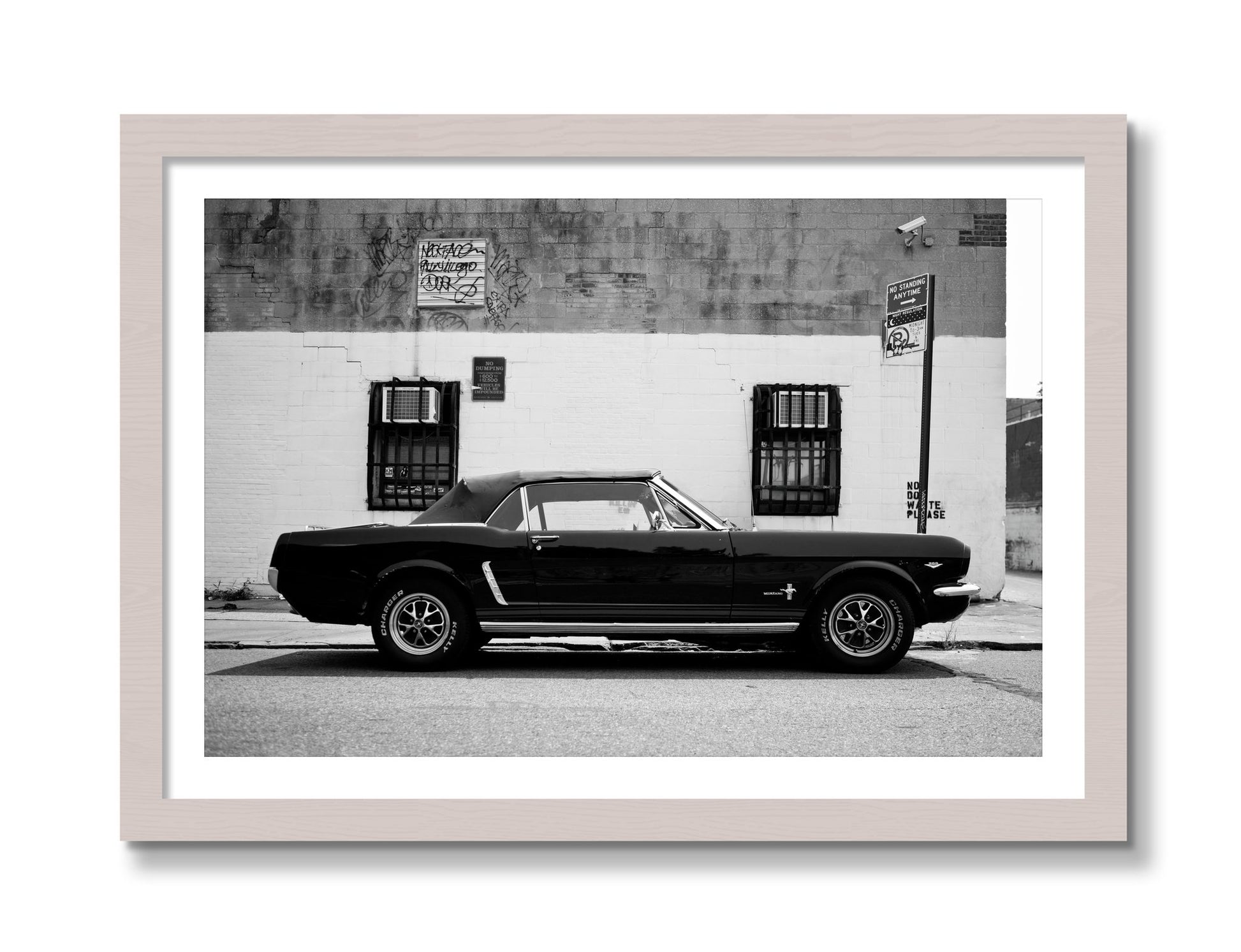Framed photograph of Mustang by Dylan Ozanich, White Maple frame, Borders