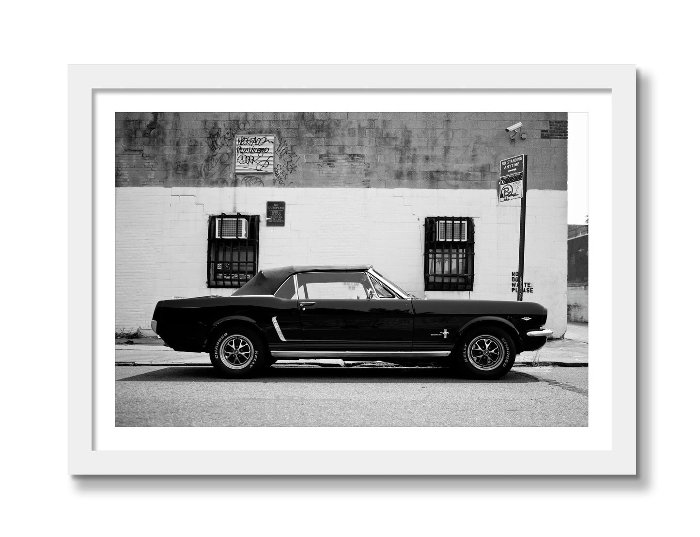 Framed photograph of Mustang by Dylan Ozanich, White frame, Borders