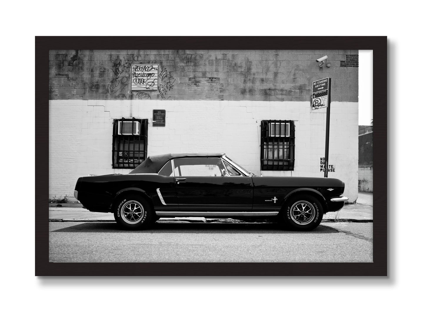 Framed photograph of Mustang by Dylan Ozanich, Black Walnut frame, Full Bleed