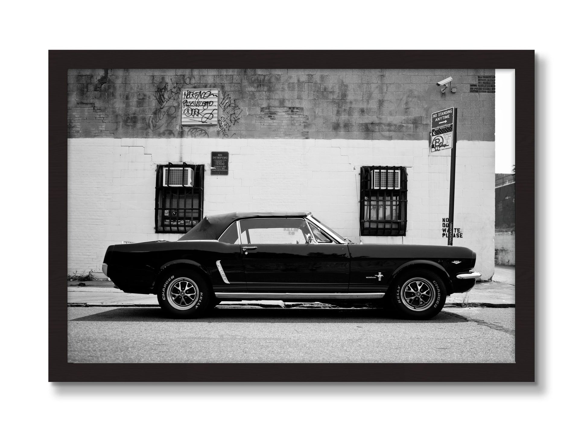 Framed photograph of Mustang by Dylan Ozanich, Black Walnut frame, Full Bleed