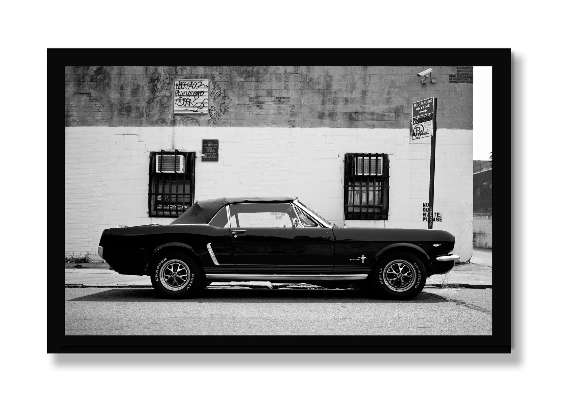 Framed photograph of Mustang by Dylan Ozanich, Black frame, Full Bleed